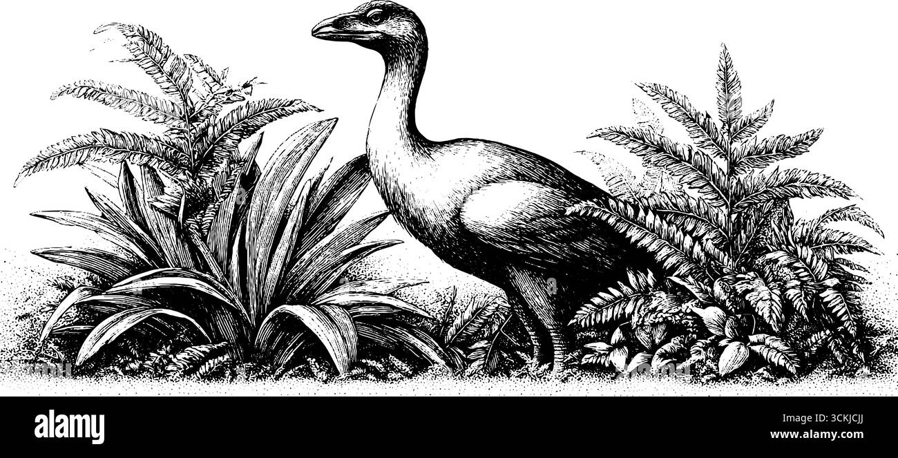 Moa in felci in mezzo alla nebbia mattutina illustrazione con incisione vintage. Illustrazione Vettoriale