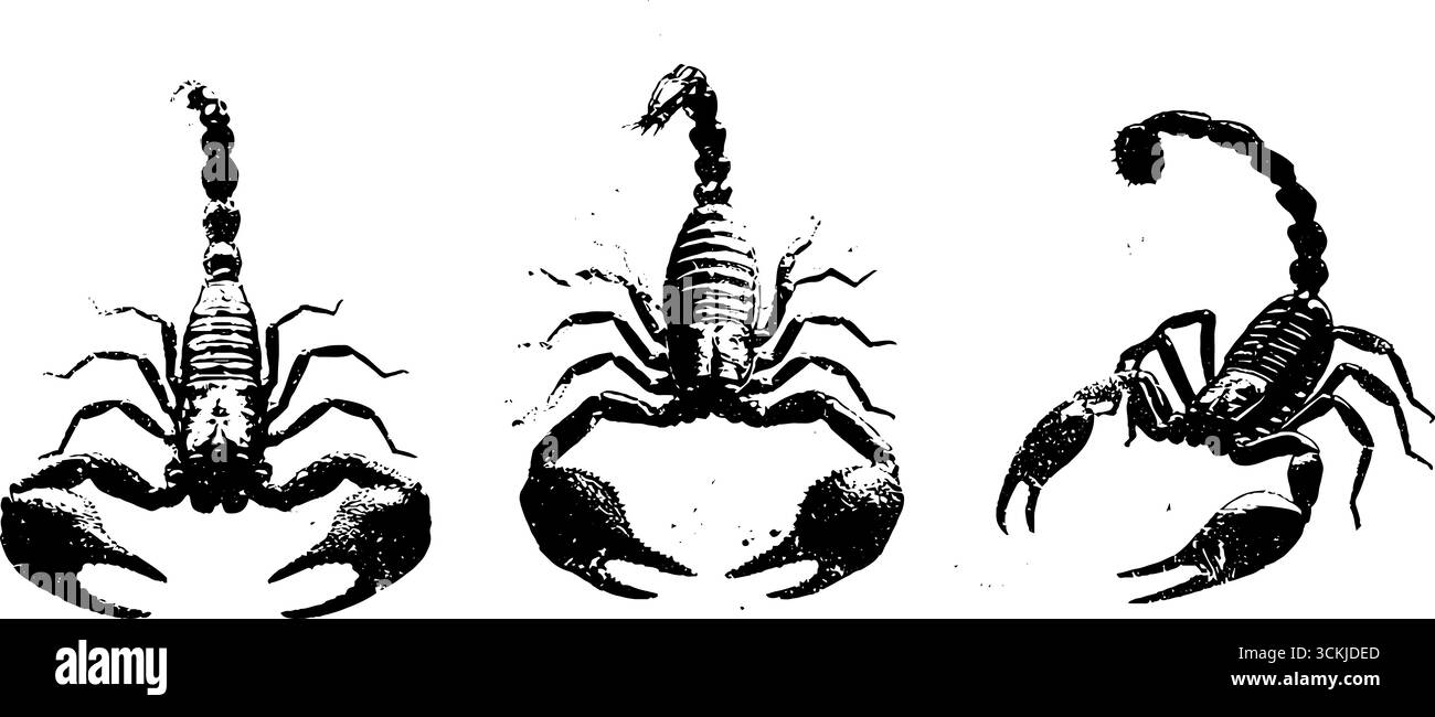 Set di stencil per scorpioni in bianco e nero per progetti di design creativi. Illustrazione Vettoriale