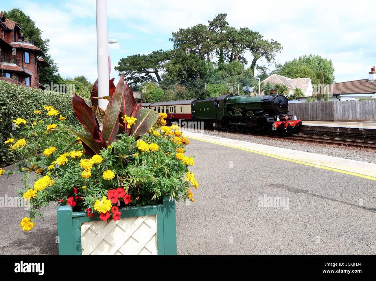 Locomotiva di classe GWR Castle n. 5029 Nunney Castle passando per la stazione di Torquay con l'English Riviera Express, diretta a Kingswear. Foto Stock
