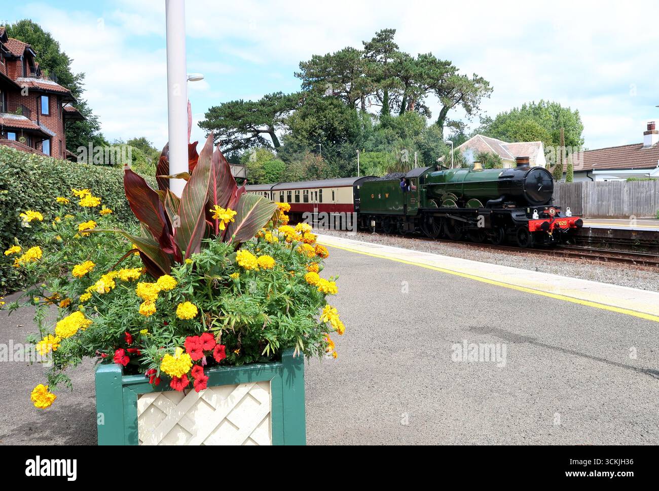 Locomotiva di classe GWR Castle n. 5029 Nunney Castle passando per la stazione di Torquay con l'English Riviera Express, diretta a Kingswear. Foto Stock