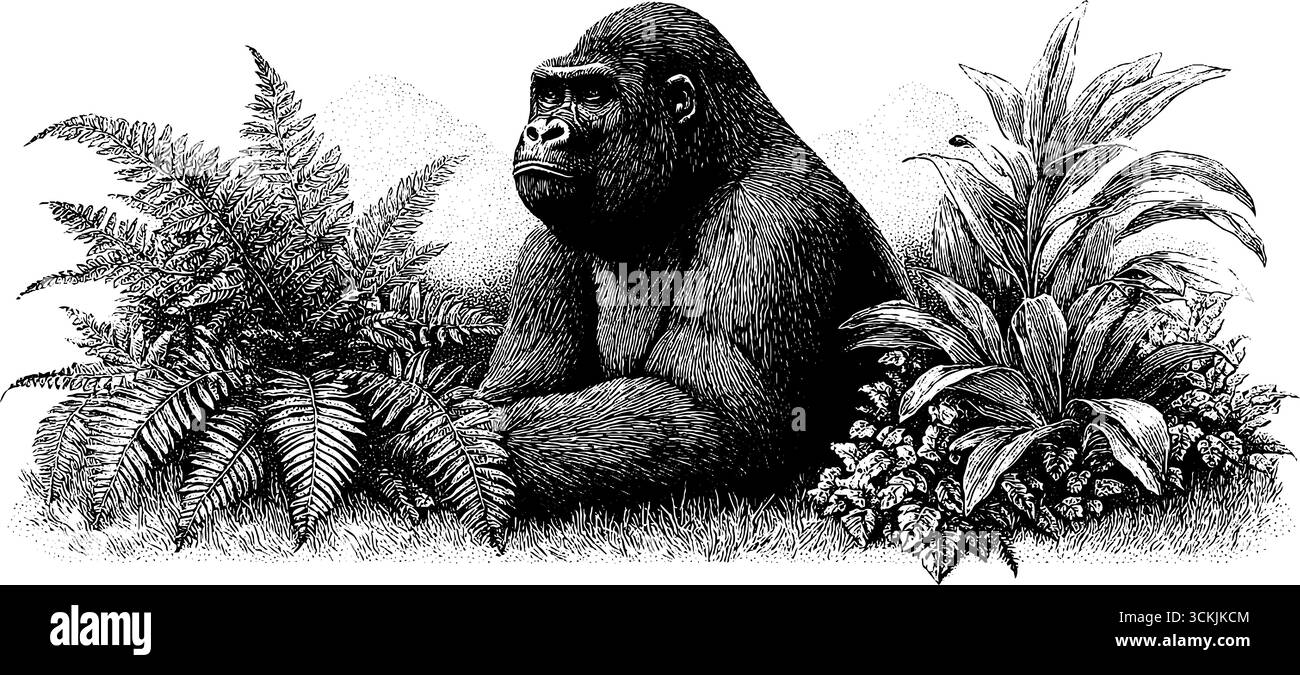 Silhouette Gorilla vintage nella nebbiosa foresta pluviale con felci. Illustrazione Vettoriale