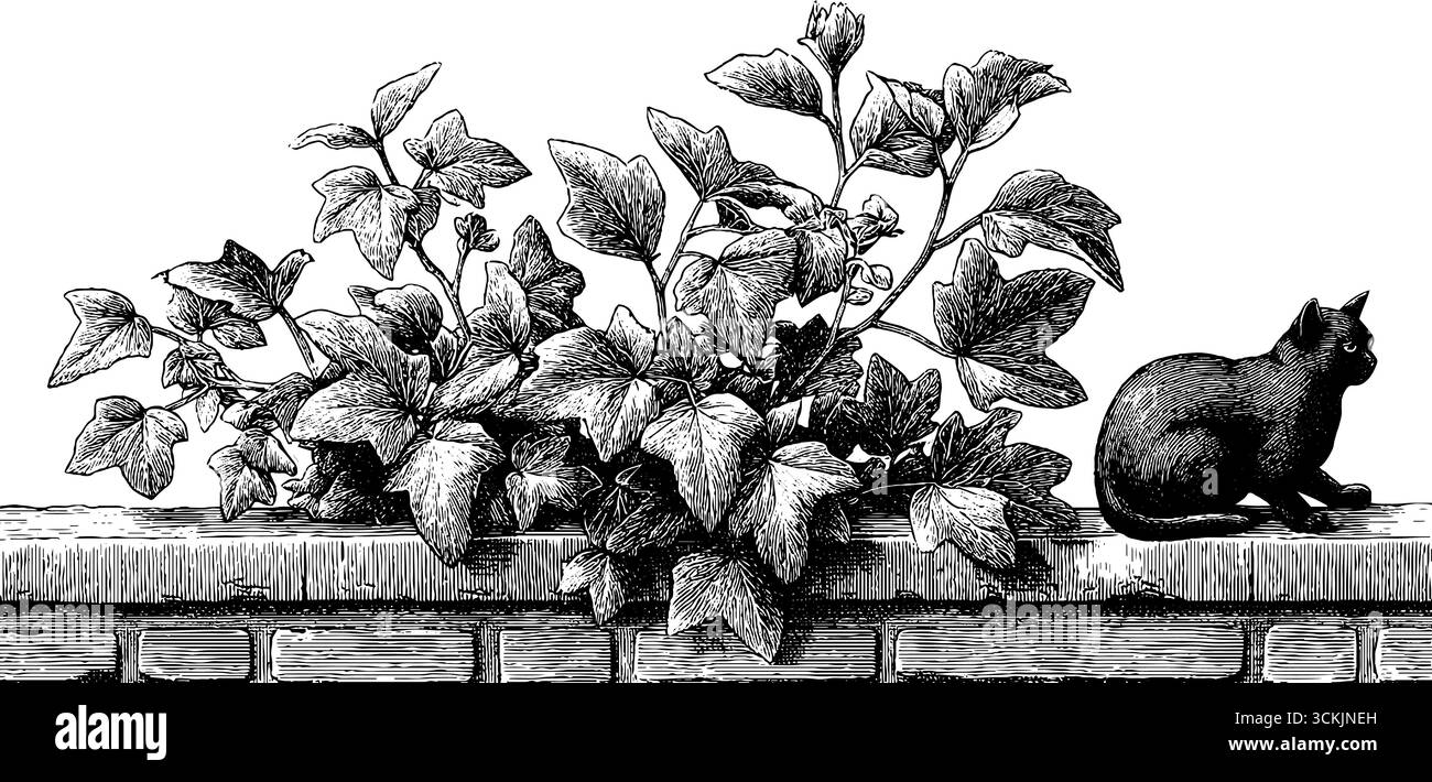 Parete in mattoni vintage con edera e illustrazione con silhouette Cat per un design retrò. Illustrazione Vettoriale