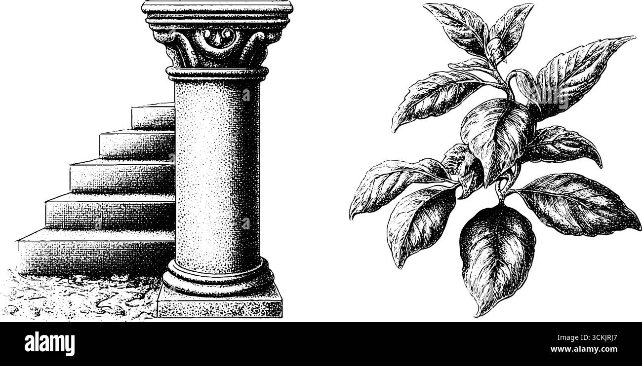 Scala e tettoia vintage con elemento botanico per un design retrò. Illustrazione Vettoriale Scala e tettoia vintage con elemento botanico per un design retrò. Illustrazione Vettoriale