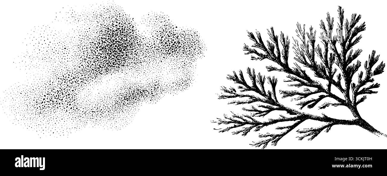 Dettagli in cristallo di ghiaccio vintage e disegno del ramo di ghiaccio per un design invernale. Illustrazione Vettoriale