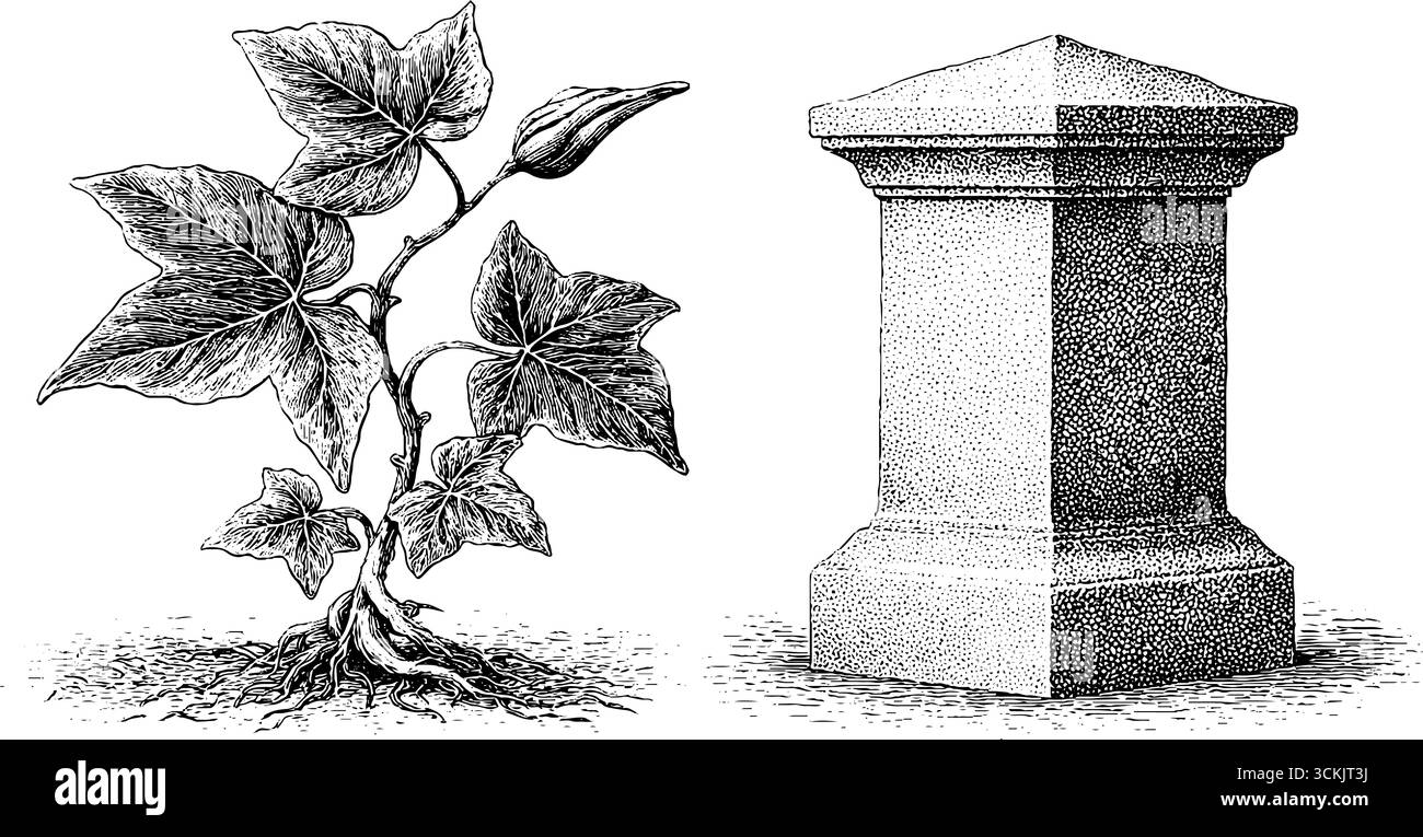 Schizzo vintage di pietre tombali e radici di edera con elemento in piuma di corvo. Illustrazione Vettoriale