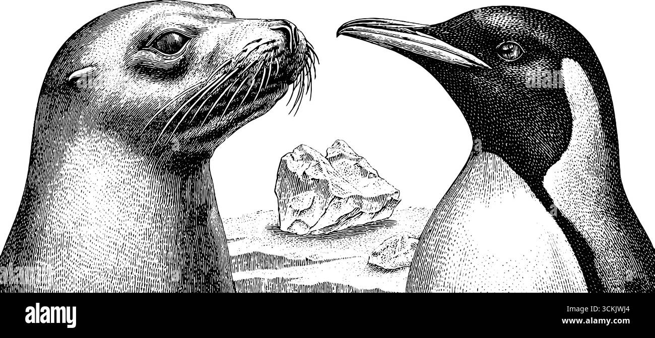 Incisione vintage di foca leopardata e pinguino con paesaggio ghiacciato per un design retrò. Illustrazione Vettoriale