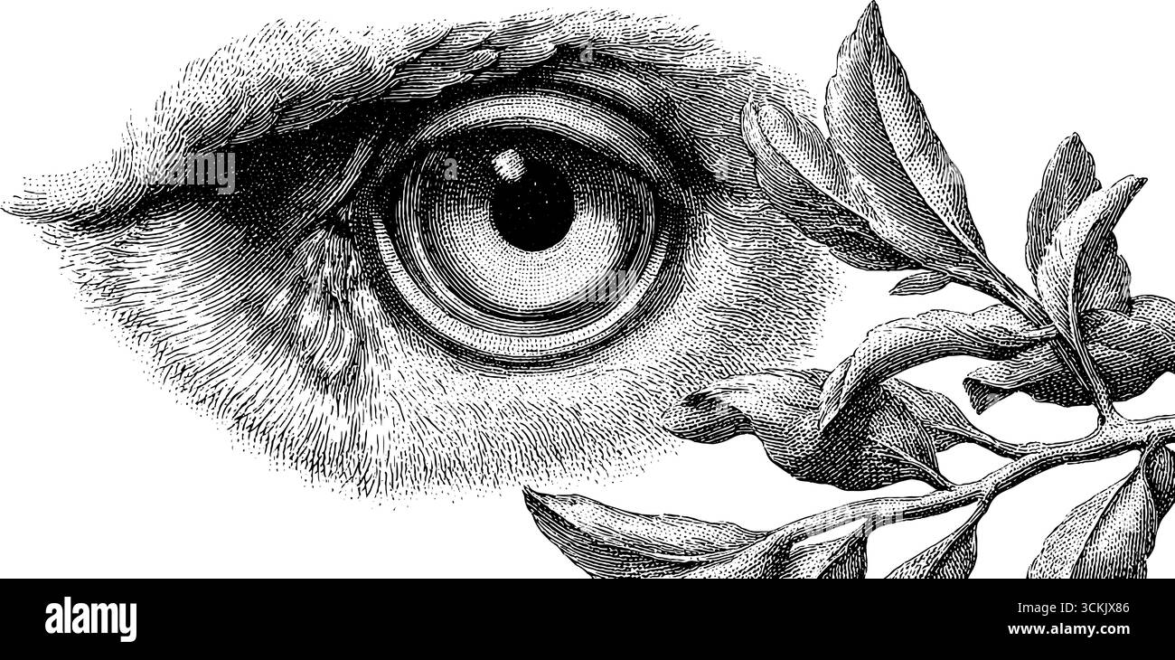 Intricato occhio di gufo e ramo della foresta con tema di luce stellare per il design della natura. Illustrazione Vettoriale