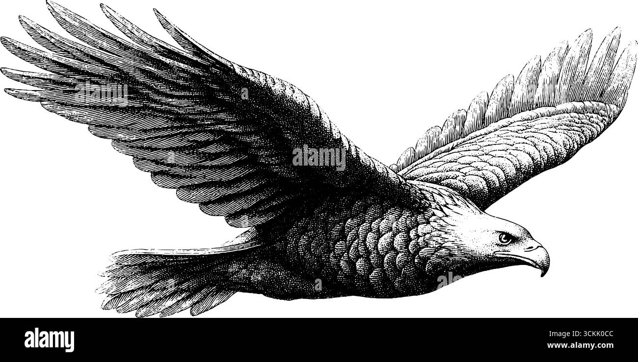 Aquila d'epoca con silhouette da volo con elementi di cielo e natura. Illustrazione Vettoriale
