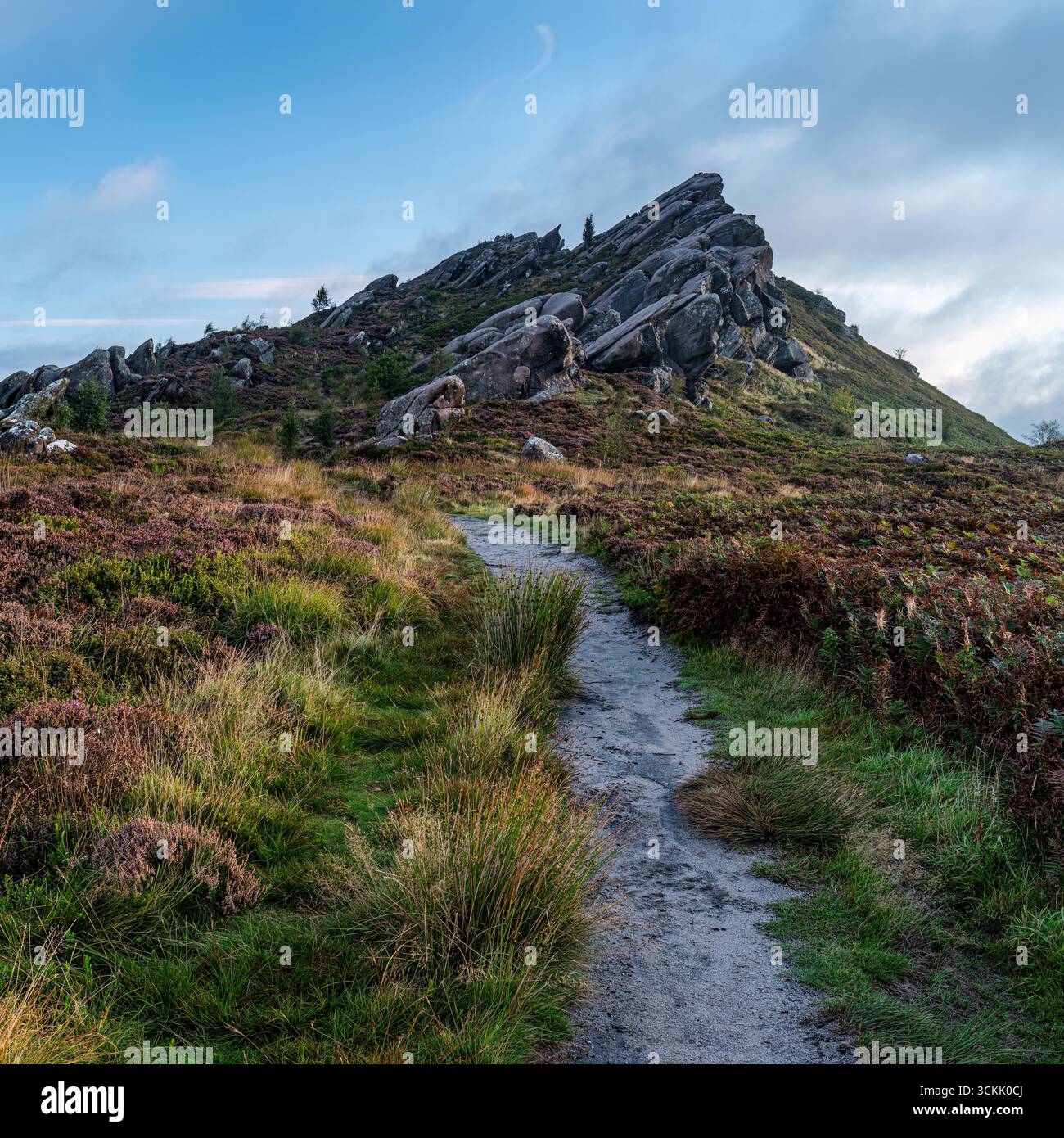 Ramshaw rocce, Peak District Foto Stock