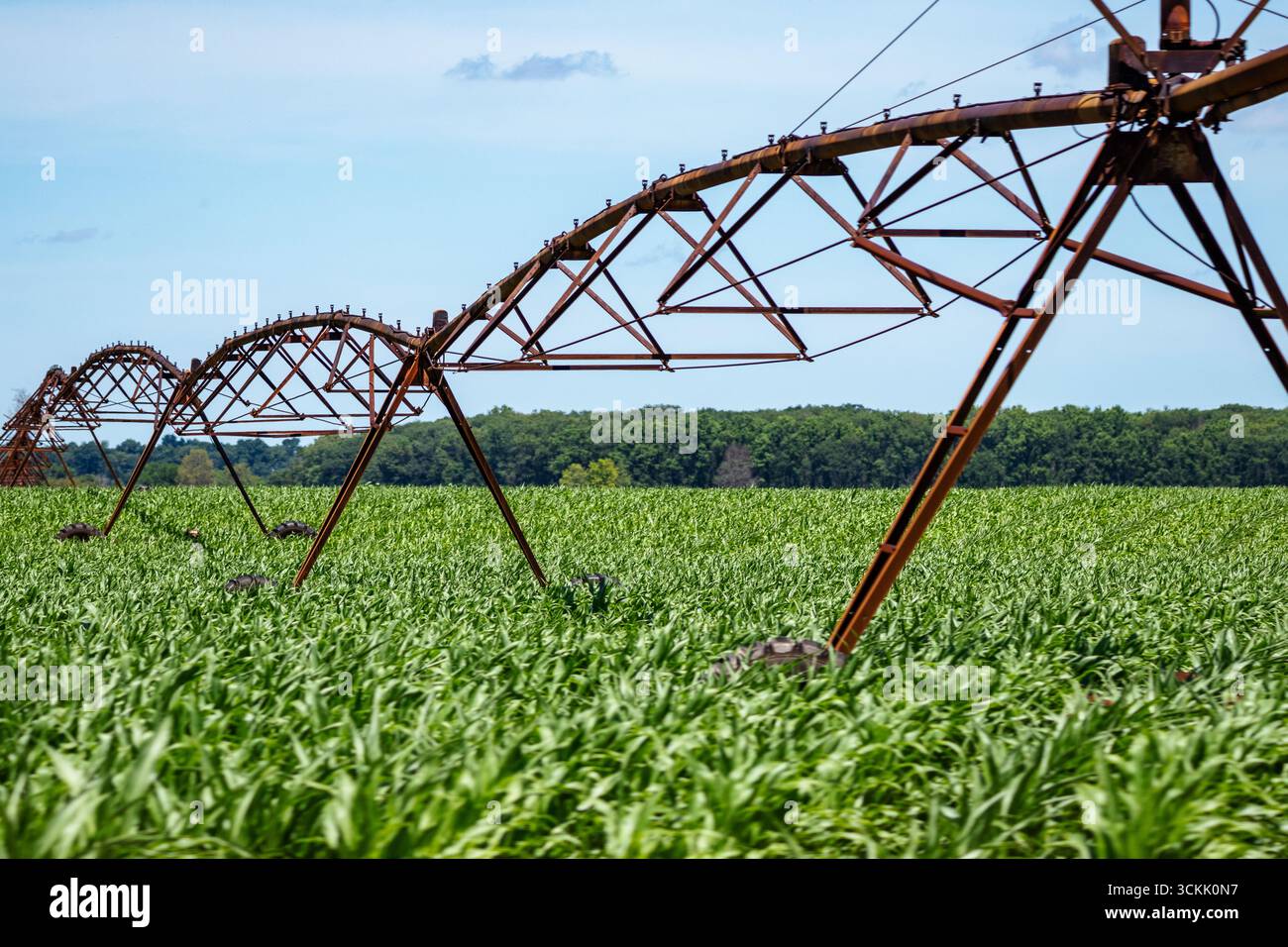 Attrezzature per l'irrigazione sulle colture Foto Stock