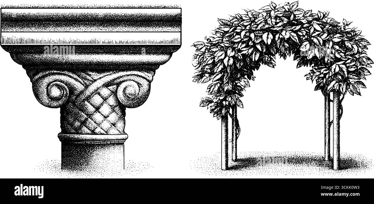 Colonna con radici d'albero e arcata con cortile dal design vintage per un arredamento retrò. Illustrazione Vettoriale Colonna con radici d'albero e arcata con cortile dal design vintage per un arredamento retrò. Illustrazione Vettoriale