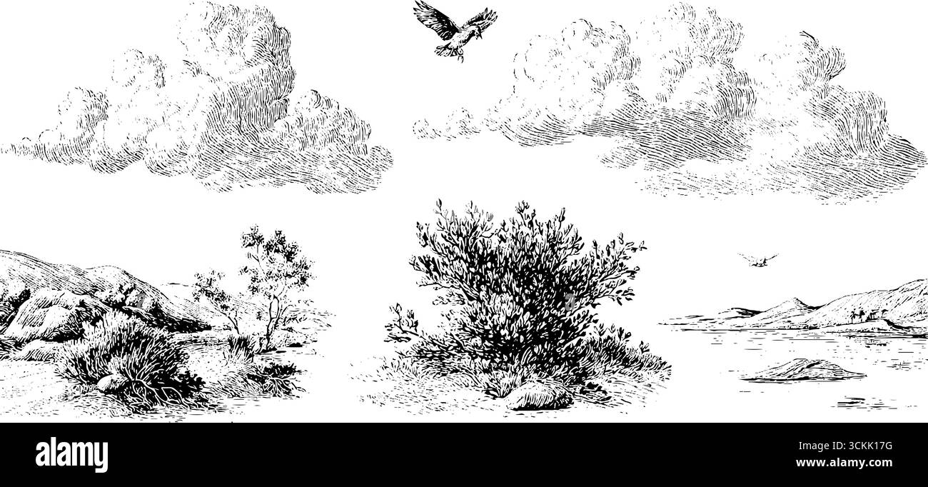 Paesaggi naturalistici d'epoca con alberi, uccelli e nuvole: Schizzi disegnati a mano per design e stampe. Illustrazione Vettoriale