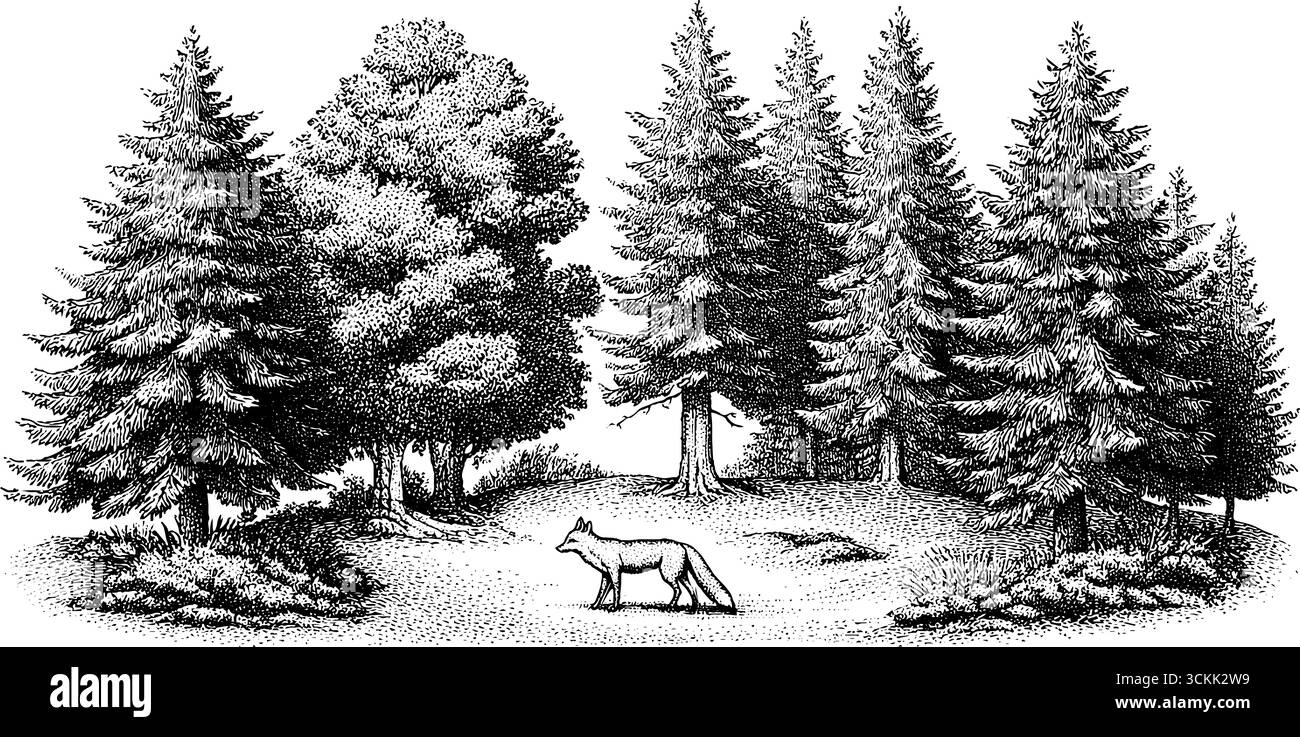 Incantevole radura della foresta con volpi e santuario nascosto. Illustrazione Vettoriale