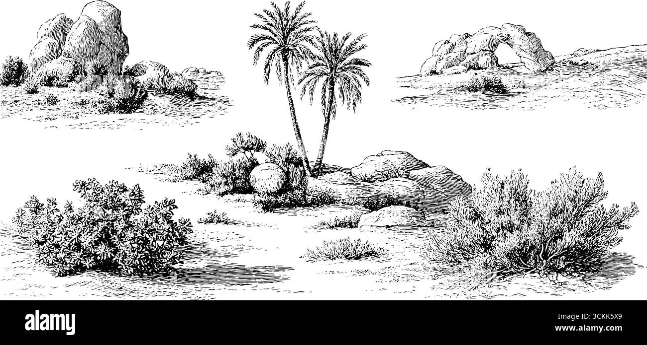 Scenografia di paesaggi desertici vintage con palme e terreni rocciosi per un design retrò. Illustrazione Vettoriale