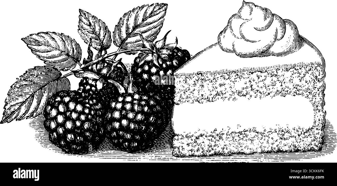 Torta di cibo d'angelo in stile vintage con incisione di frutti di bosco per un design culinario. Illustrazione Vettoriale