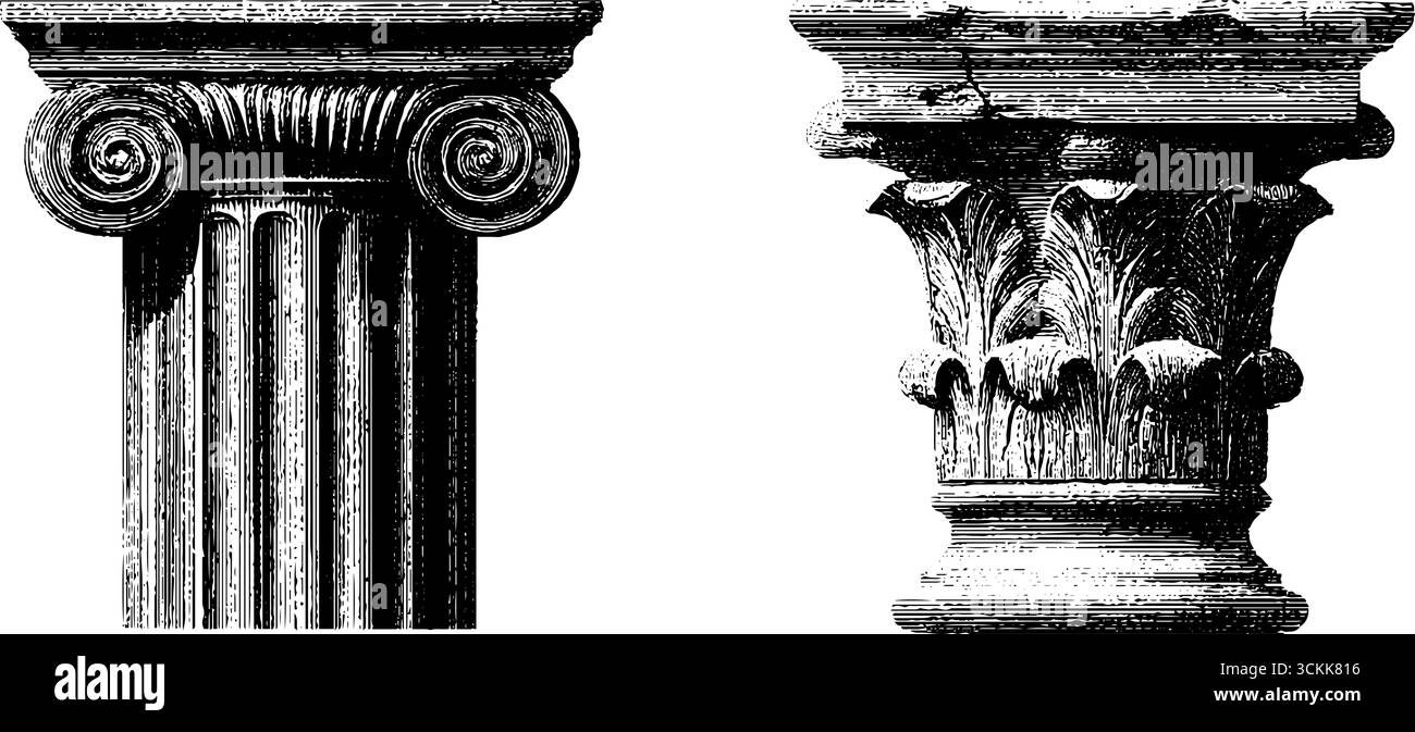 Colonne architettoniche storiche: Dettagli del campidoglio incisi per un design artistico. Illustrazione Vettoriale