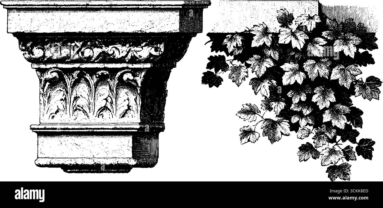 Cornice architettonica in pietra d'epoca con intricati dettagli in foglia. Illustrazione Vettoriale