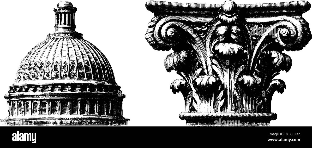 Dettagli architettonici incisi della cupola del campidoglio e della capitale delle colonne per un design storico. Illustrazione Vettoriale