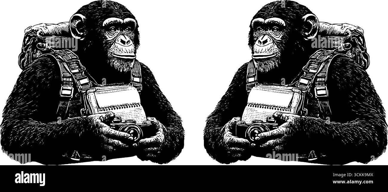 Illustrazione incisa dello scimpanzé con fotocamera per un design e un arredamento creativi. Illustrazione Vettoriale