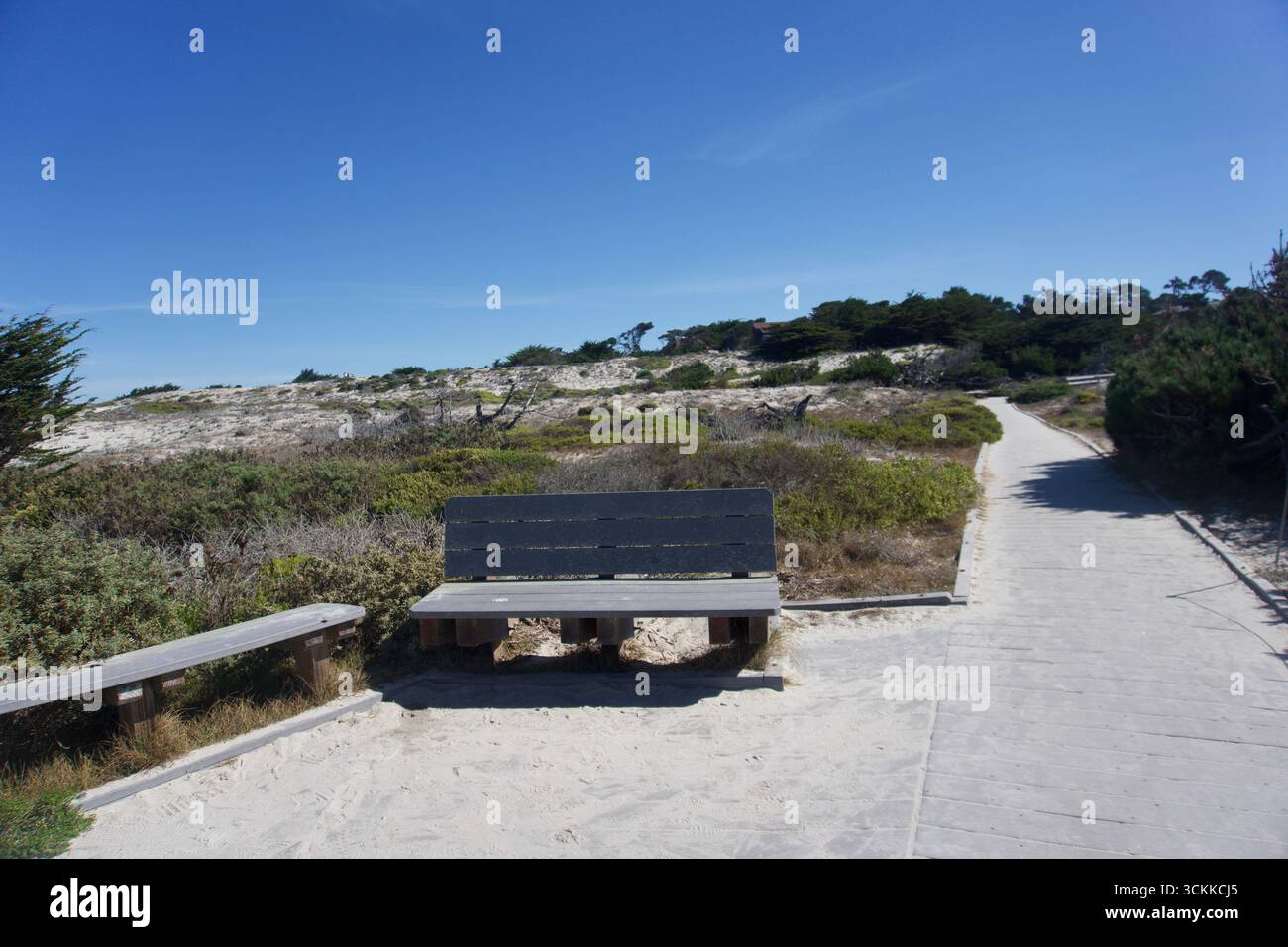 Panchine rustiche lungo il Sandy Coastal Trail in California Foto Stock