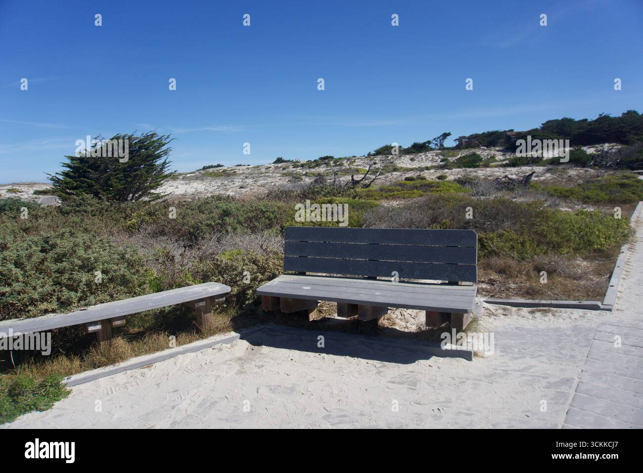 Panchine rustiche lungo il Sandy Coastal Trail in California Foto Stock