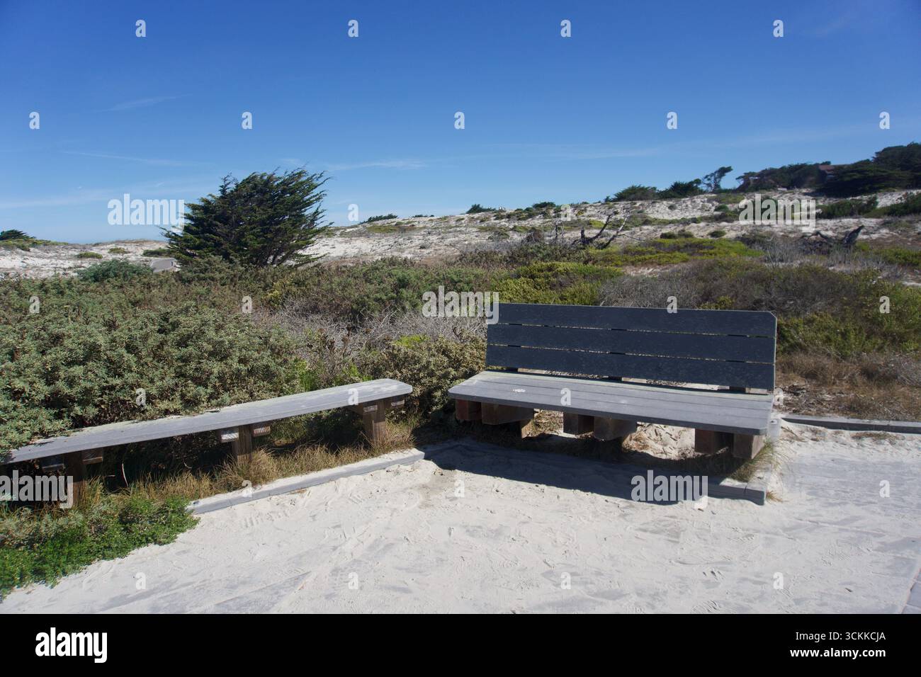 Panchine rustiche lungo il Sandy Coastal Trail in California Foto Stock