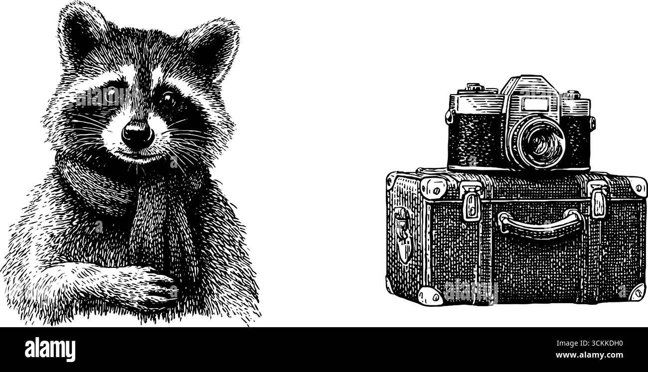 Incisione vintage di procione con macchina fotografica e valigia per progetti artistici. Illustrazione Vettoriale