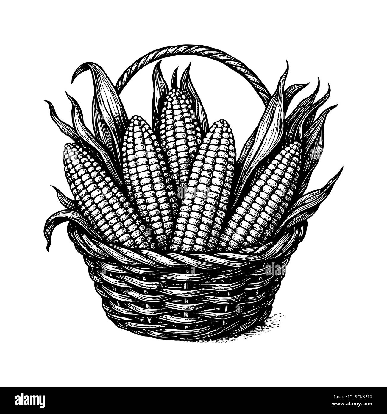 Un'incisione vintage dettagliata che raffigura una pannocchia di mais matura, perfetta per i temi del raccolto e del Ringraziamento. Illustrazione Vettoriale