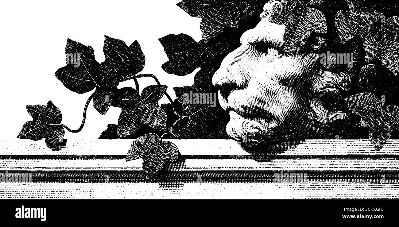 Facciata ornamentale con incisioni vintage con dettagli frondosi per un design architettonico. Illustrazione Vettoriale