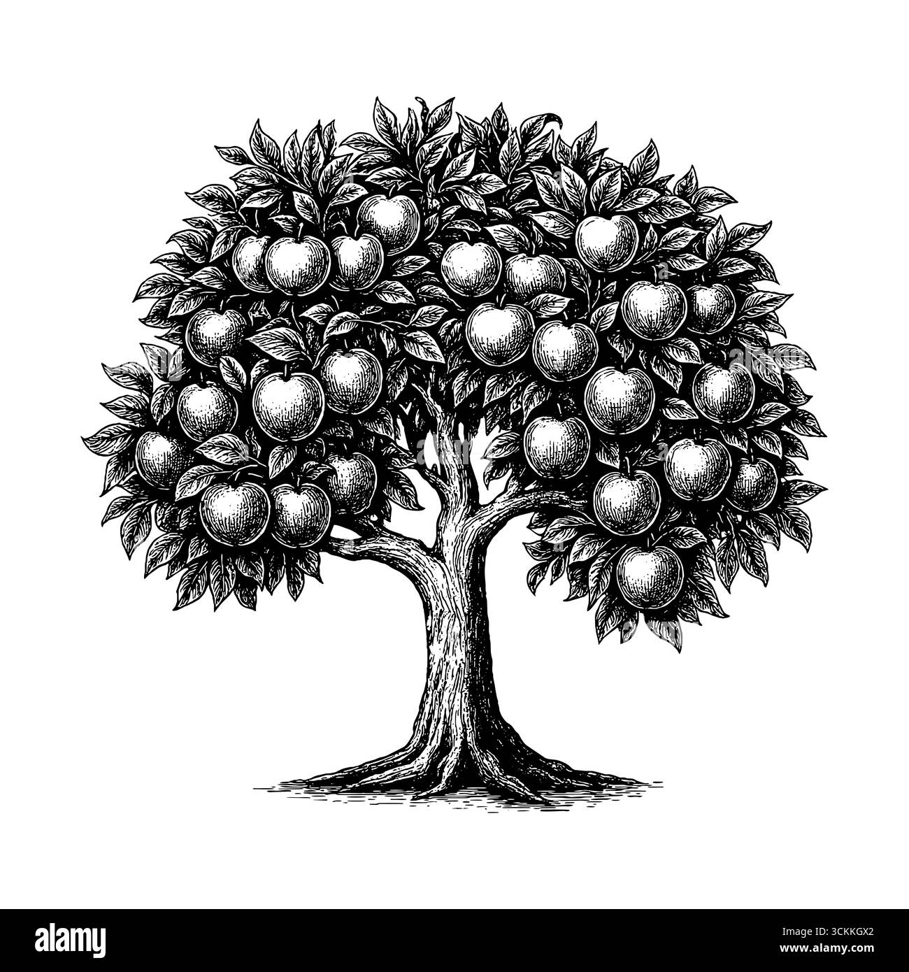 L'albero della conoscenza del bene e del male con frutti di mela, raffigurato in uno stile biblico simbolico Illustrazione Vettoriale