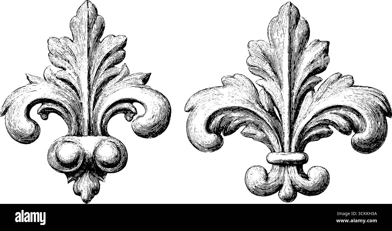 Set di antiche illustrazioni floreali incise per i disegni vintage delle librerie. Illustrazione Vettoriale