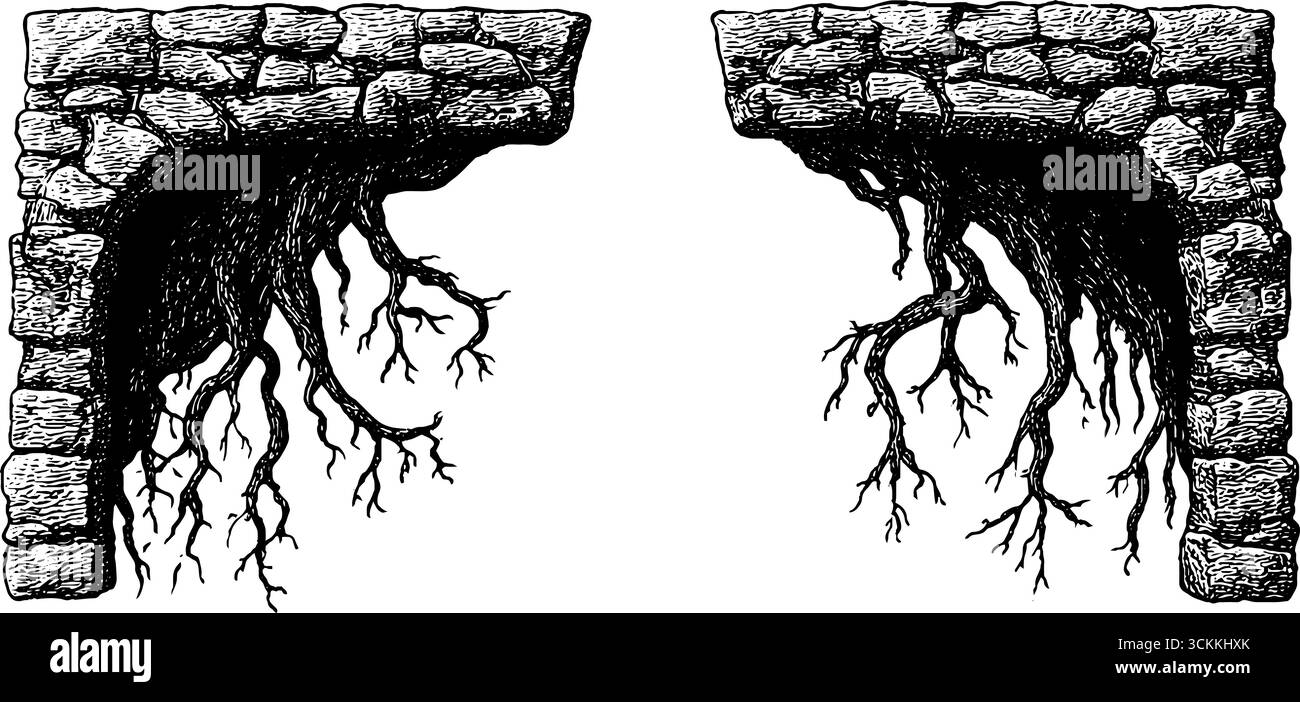 Arcata in pietra in rovina con radici: Design inciso per l'arte e l'arredamento storici. Illustrazione Vettoriale