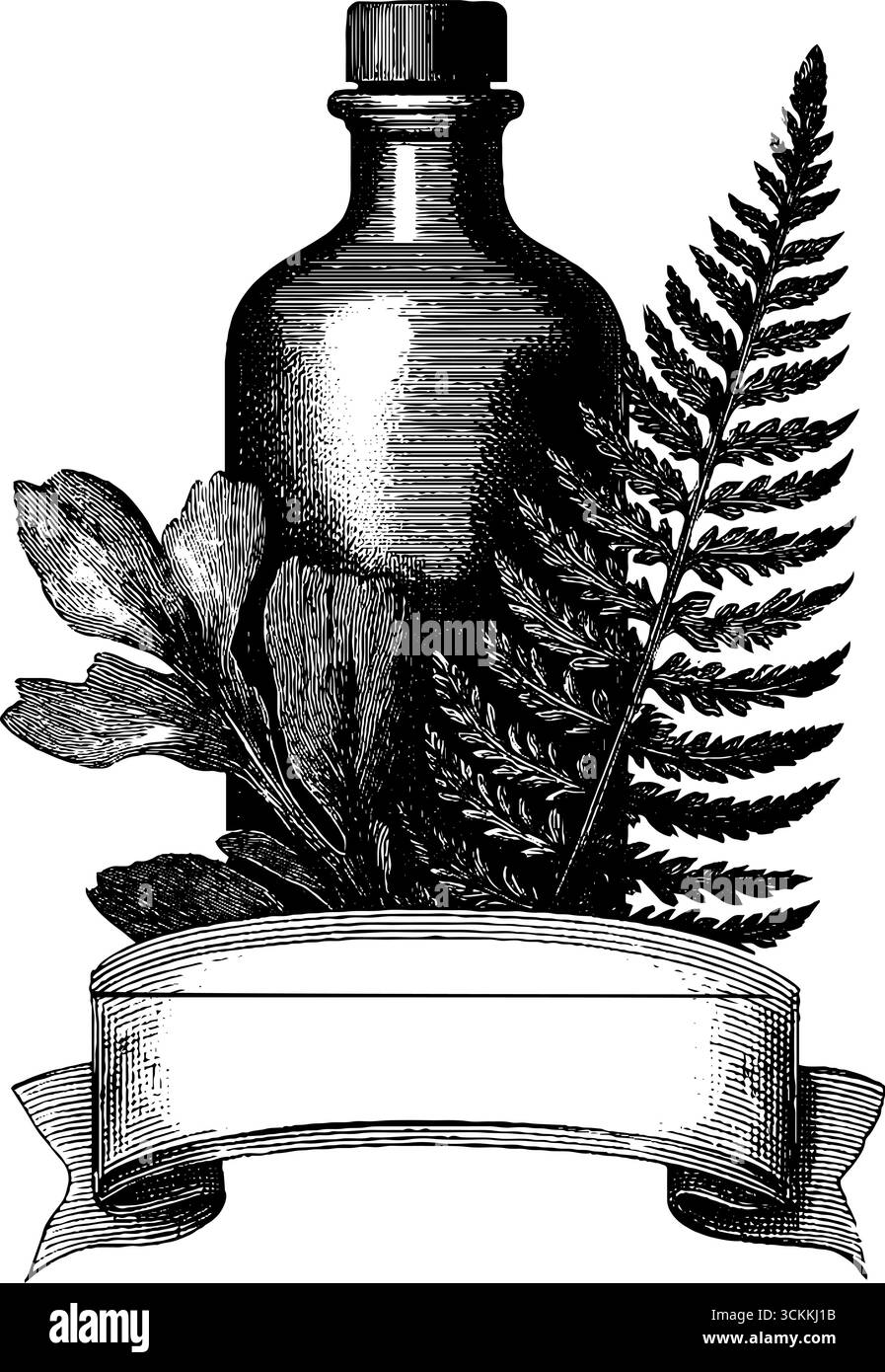 Incisione vintage disegnata a mano di una bottiglia di erbe con striscione a spirale per etichetta o design. Illustrazione Vettoriale