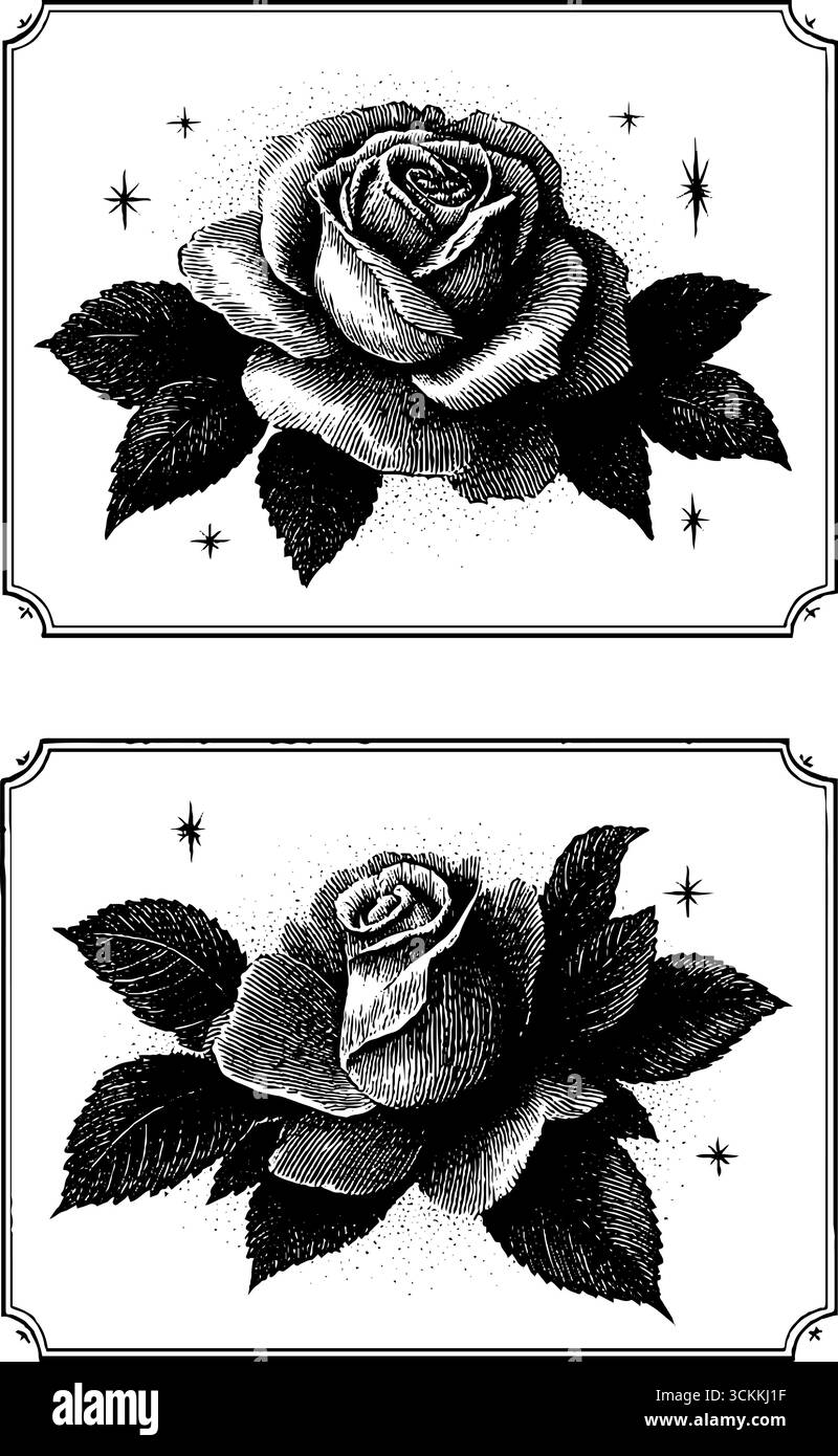 Set per incisioni vintage con rose e elementi botanici per il design. Illustrazione Vettoriale
