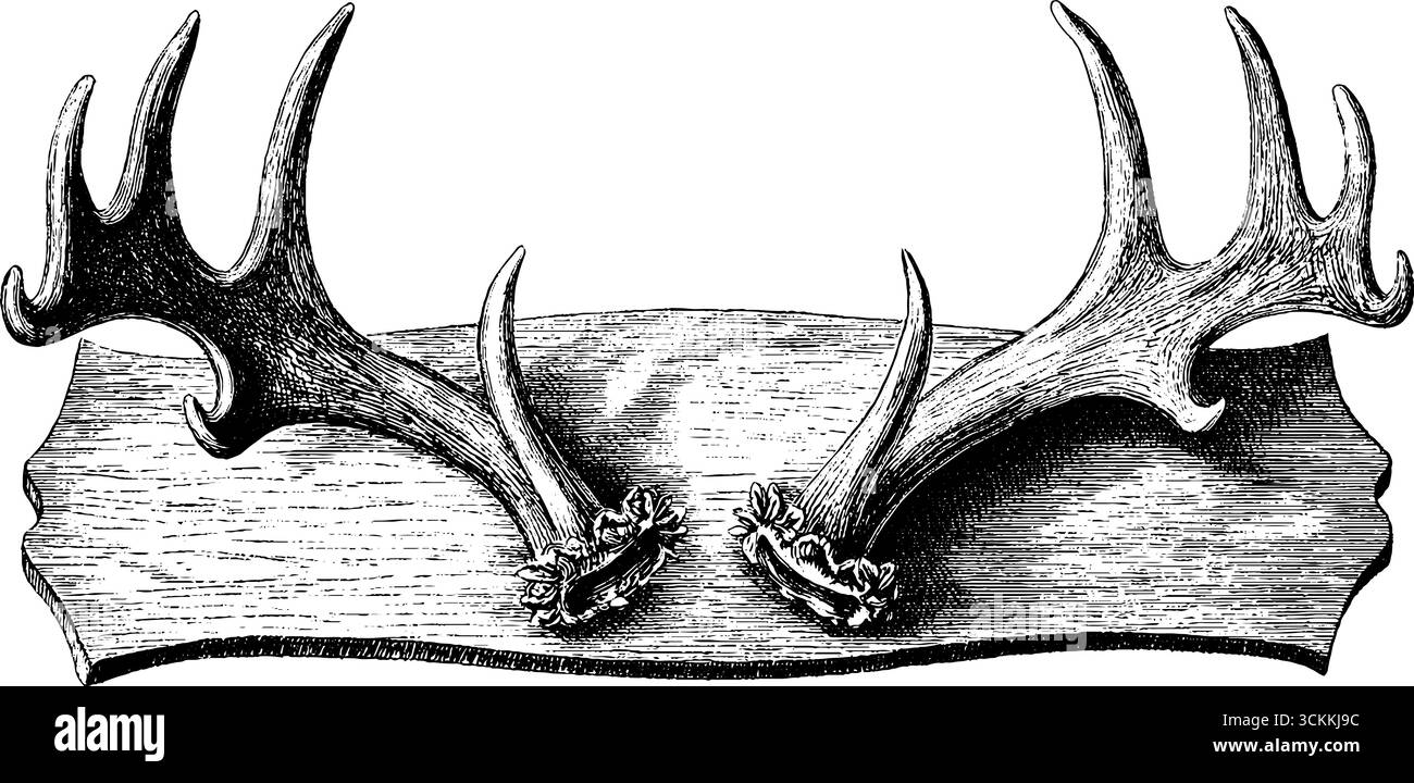 Illustrazione vintage incisa di palchi montati su placca di legno per un arredamento rustico. Illustrazione Vettoriale
