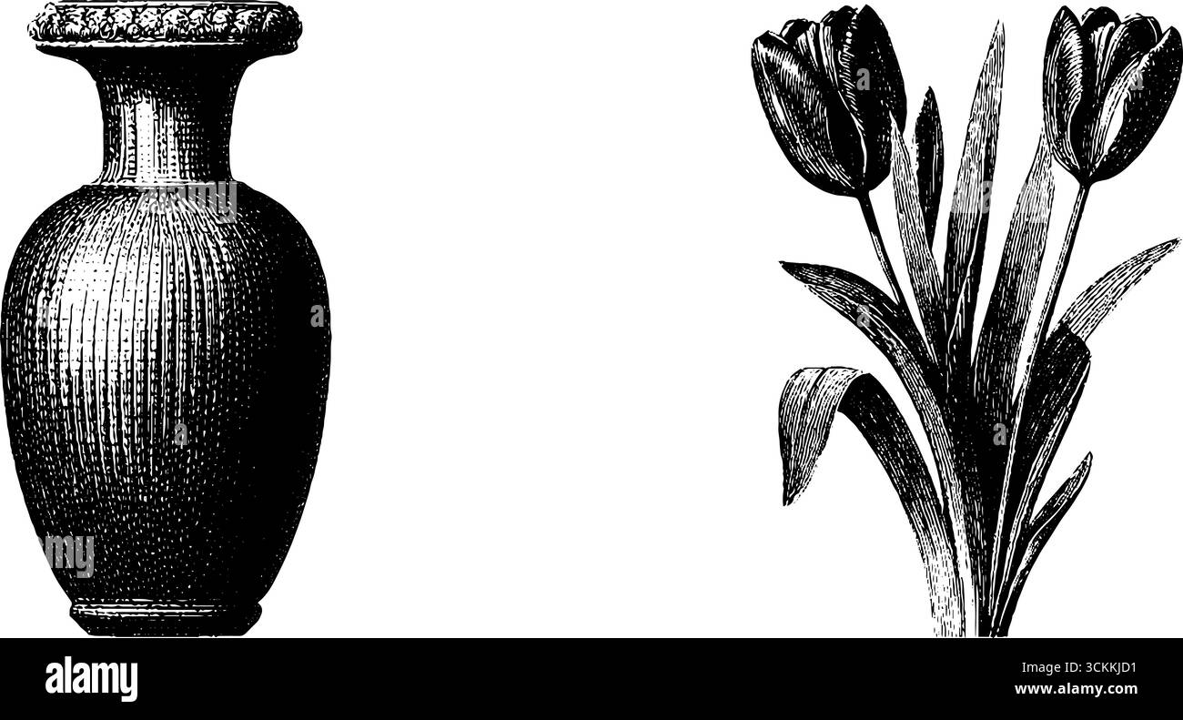 Set illustrativo in vaso antico e tulipano per progetti di design vintage. Illustrazione Vettoriale