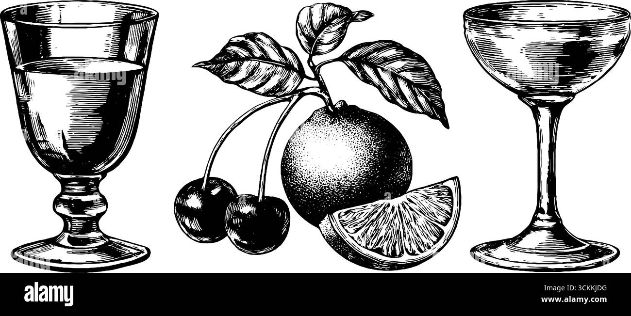 Set di incisioni vintage di frutta e bicchieri per la classica arte e design delle bevande. Illustrazione Vettoriale