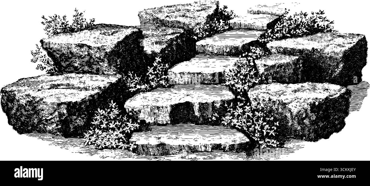 Illustrazione vintage incisa di un percorso in pietra con muschio per il design del giardino. Illustrazione Vettoriale