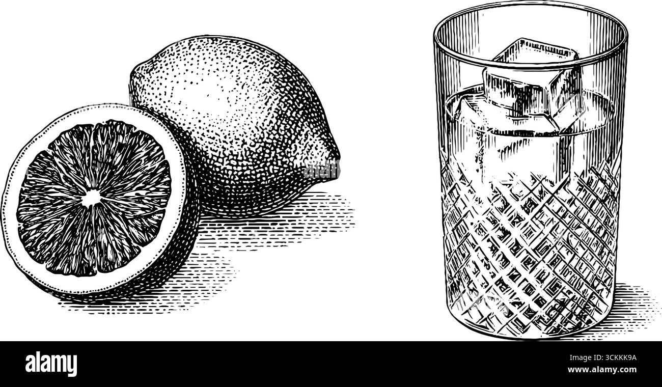 Arte vintage incisa in vetro spritz e arancio per gli amanti dei cocktail e dell'arredamento da bar. Illustrazione Vettoriale