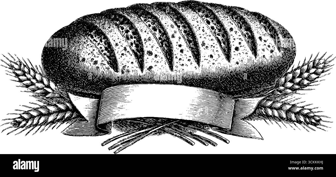 Illustrazione vintage incisa del pane con grano per etichette e design da forno. Illustrazione Vettoriale