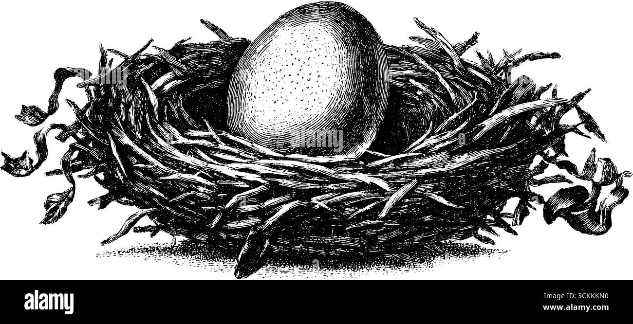 Illustrazione vintage incisa dell'uovo di pollo nel nido - perfetta per il design pasquale e della natura. Illustrazione Vettoriale