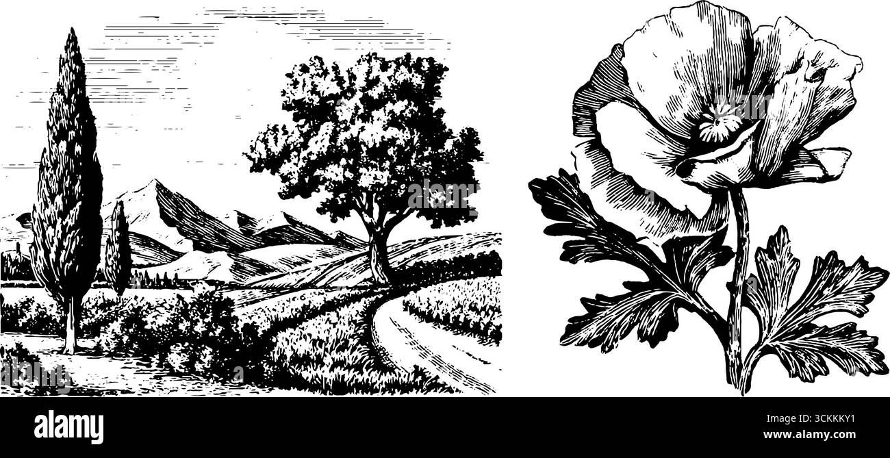 Arte incisa di idilliaco vicolo di campagna e fiore di papavero per un design ispirato alla natura. Illustrazione Vettoriale