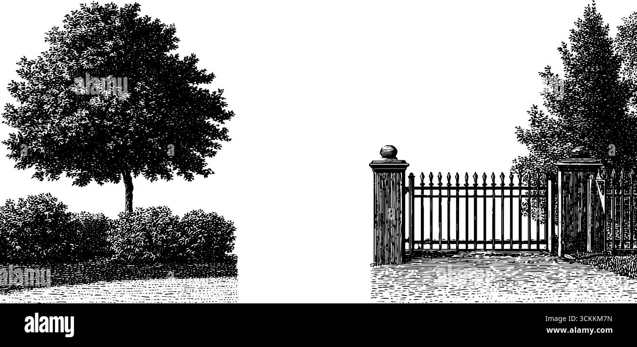 Illustrazione vintage incisa di cancello e percorso con set di alberi per il design. Illustrazione Vettoriale