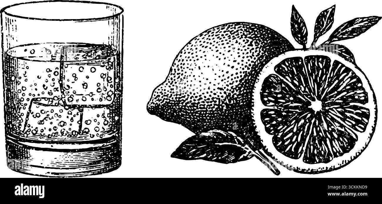 Set illustrativo inciso con aperol spritz con dettagli arancio e limone per il design e la decorazione. Illustrazione Vettoriale