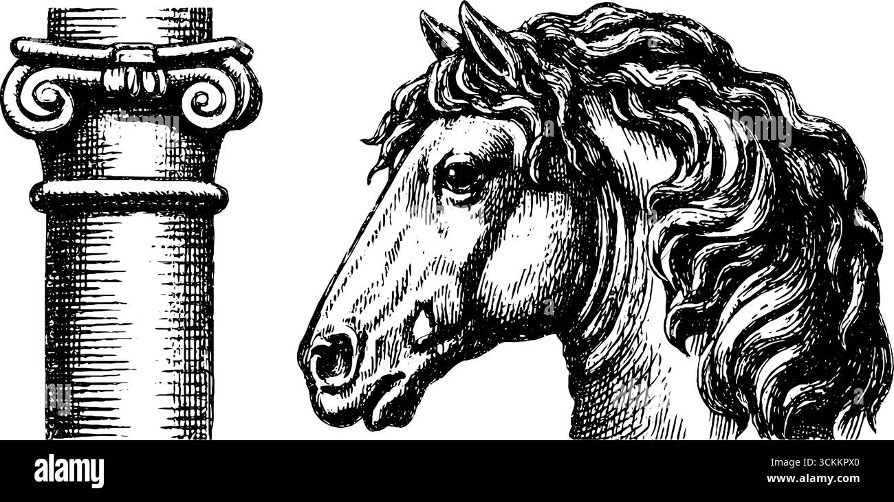 Incisione a carosello di cavalli vintage - design classico per arte e arredamento. Illustrazione Vettoriale