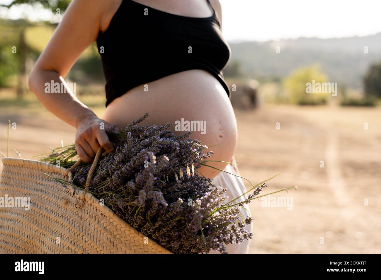 Donna agricola incinta che tiene in un campo un cesto di vimini e un bouquet di lavanda fresca Foto Stock