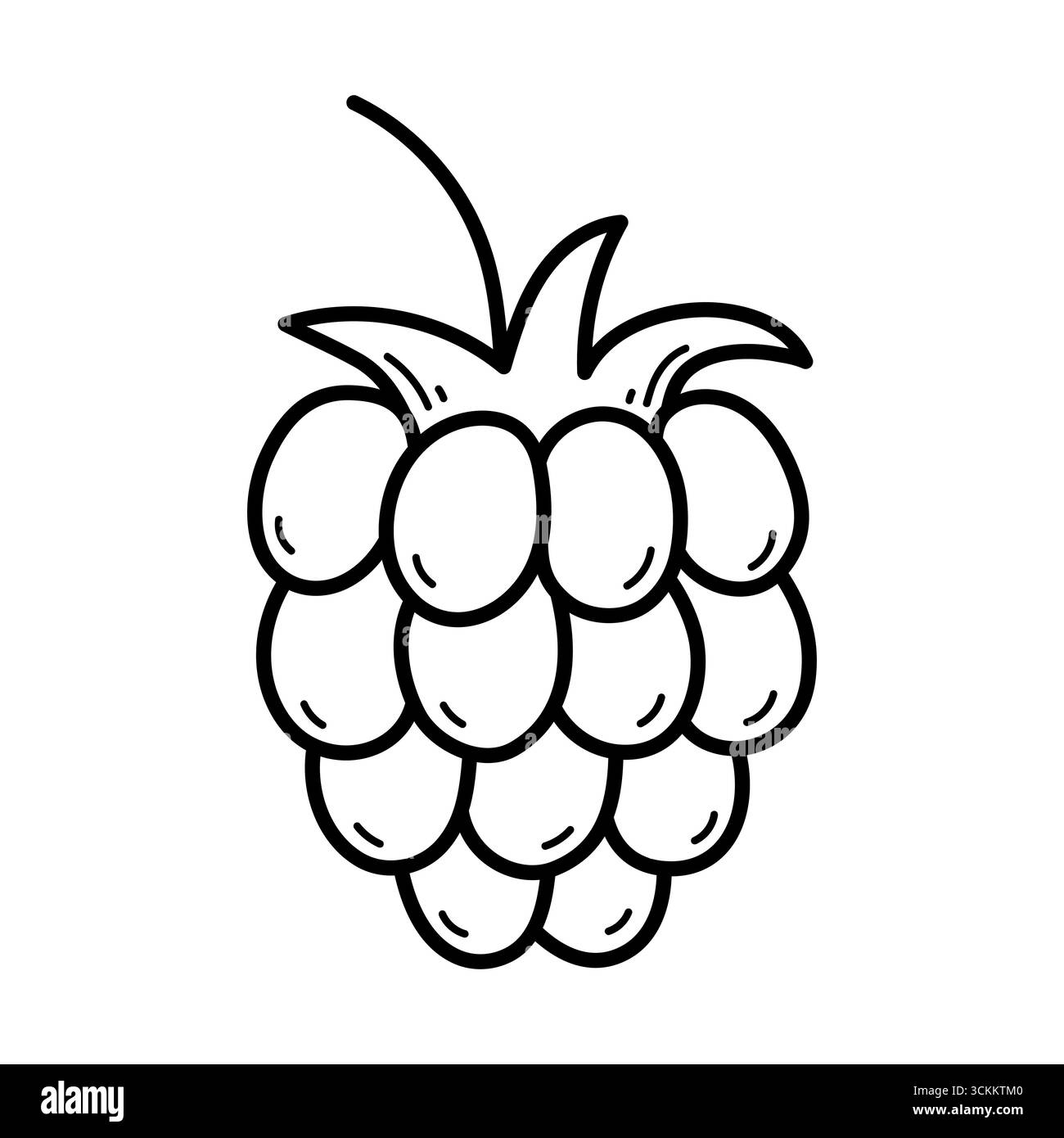 Lampone. Icona disegnata a mano di bacche. Illustrazione vettoriale isolata in stile linea doodle. Illustrazione Vettoriale