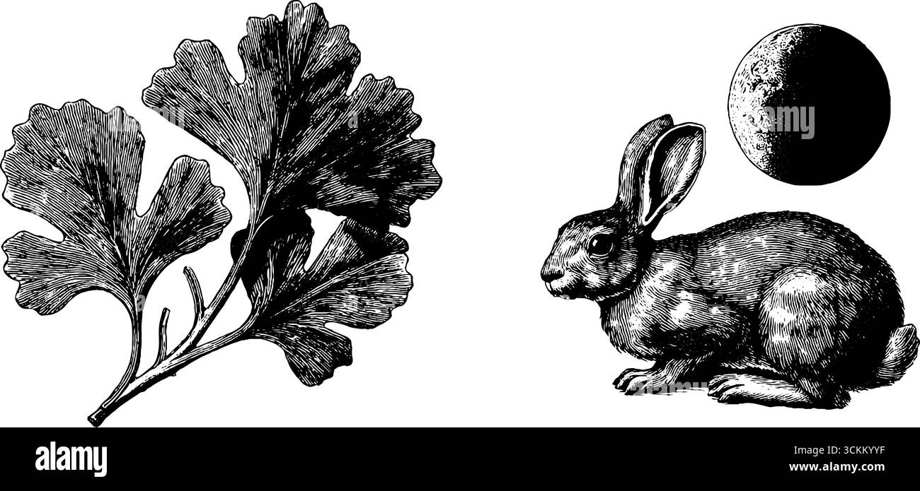 Illustrazione botanica e lunare vintage con foglie di ginkgo e silhouette di coniglio per un design retrò. Illustrazione Vettoriale