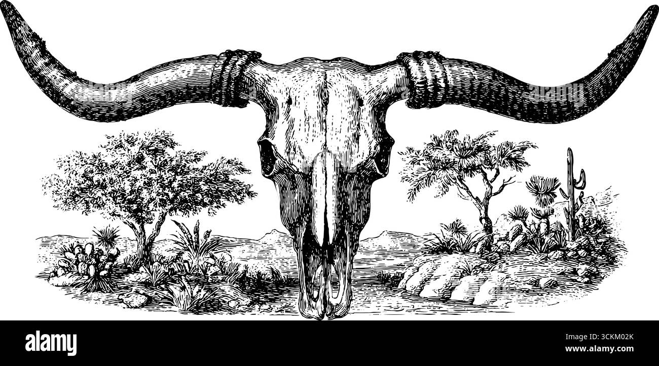 Incisione vintage del cranio di mucca con paesaggio desertico per un design a tema occidentale. Illustrazione Vettoriale