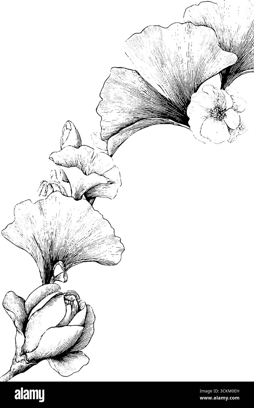 Illustrazione decorativa con incisioni floreali in stile vintage e decorazioni retrò. Illustrazione Vettoriale